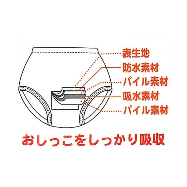 2枚組厚手スムーストレーニングパンツ（トミカとトム）