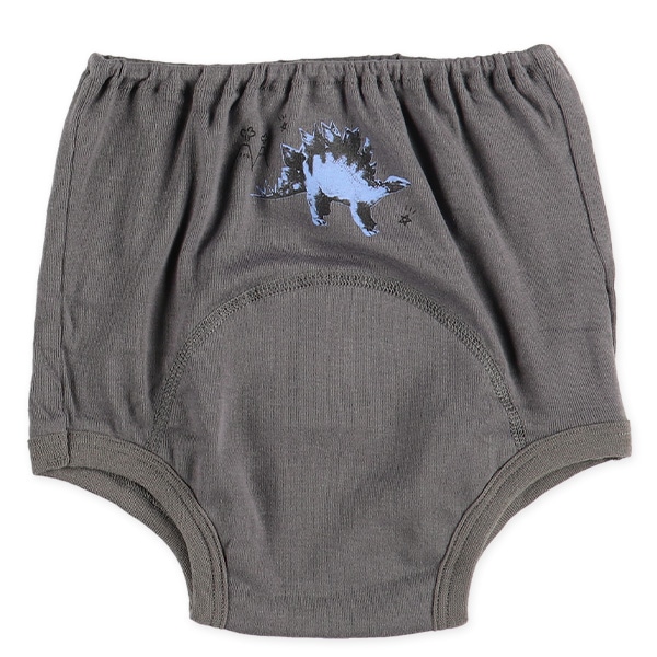 3枚組フライストレーニングブリーフ（恐竜）