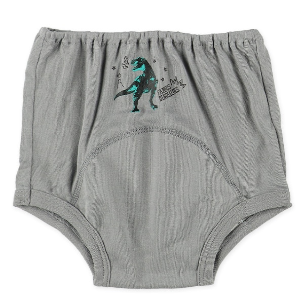 3枚組フライストレーニングブリーフ（恐竜）