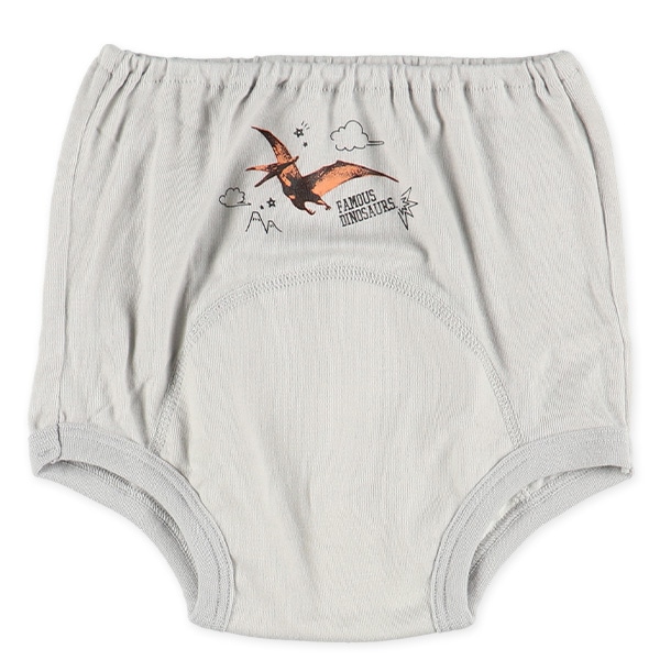 3枚組フライストレーニングブリーフ（恐竜）