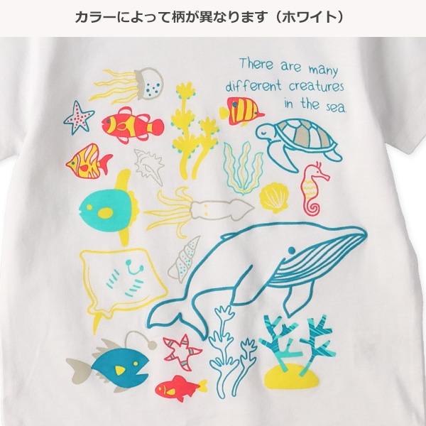 海の中半袖Tシャツ