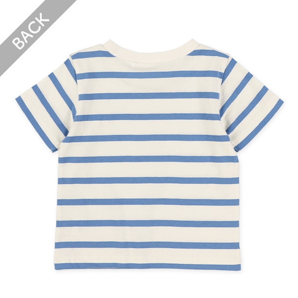 シングルボーダー半袖Tシャツ