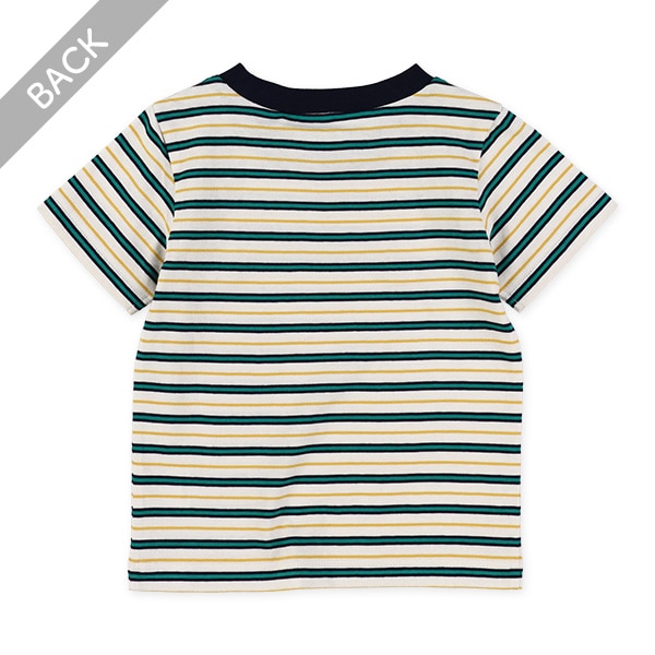 マルチボーダー半袖Tシャツ