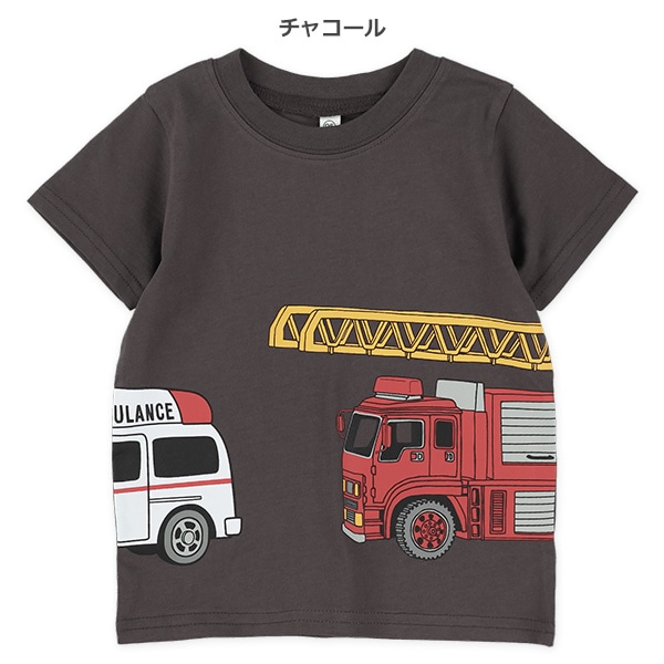 アニマル・恐竜・はたらくくるまひょっこり半袖Tシャツ