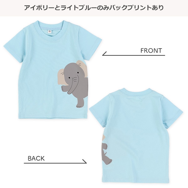 アニマル・恐竜・はたらくくるまひょっこり半袖Tシャツ