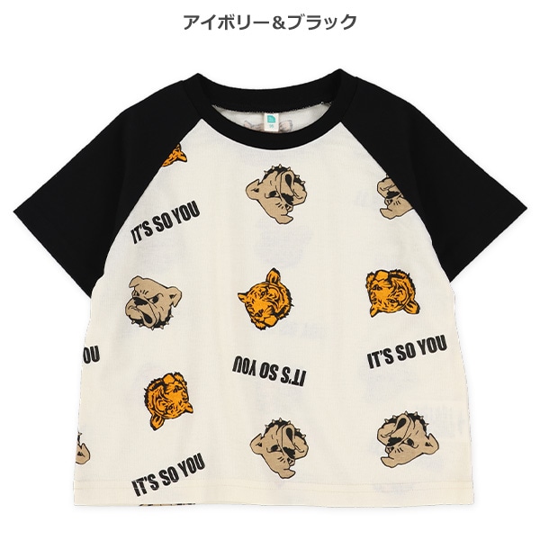 配色アメカジラグラン半袖Tシャツ