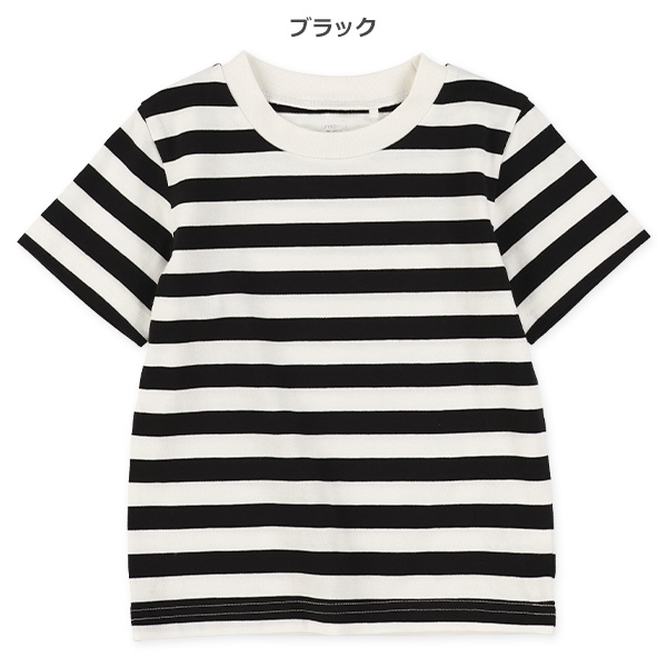 シングルボーダー半袖Tシャツ