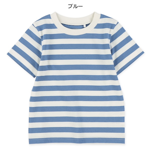 シングルボーダー半袖Tシャツ