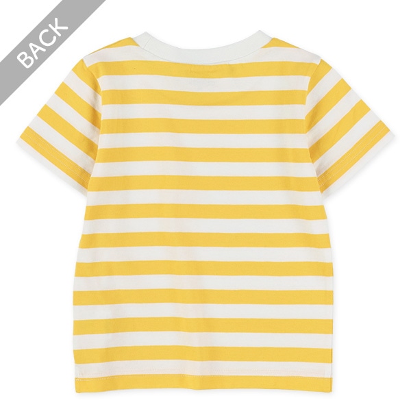 シングルボーダー半袖Tシャツ