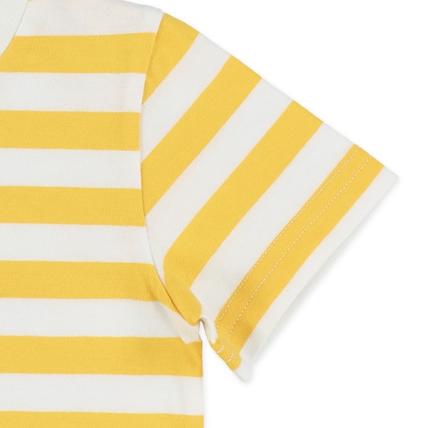 シングルボーダー半袖Tシャツ