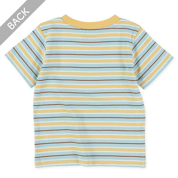 マルチボーダー半袖Tシャツ