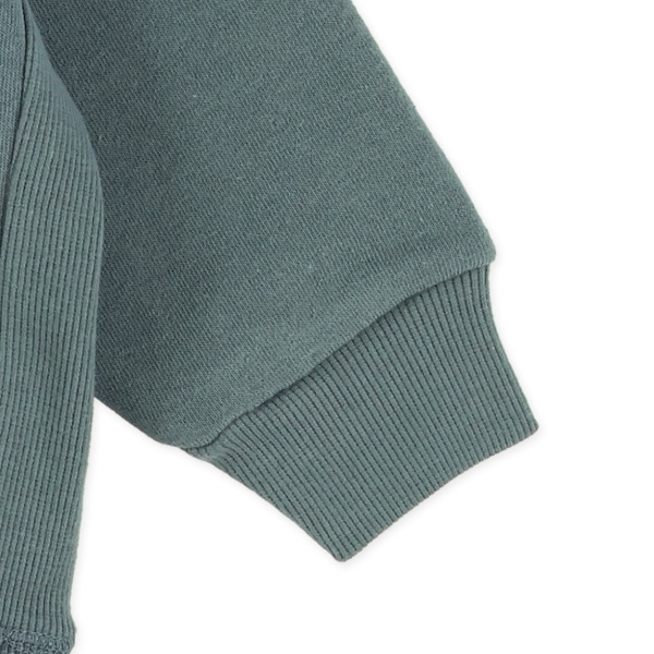 裏起毛いぬヴィンテージ風脇リブトレーナー