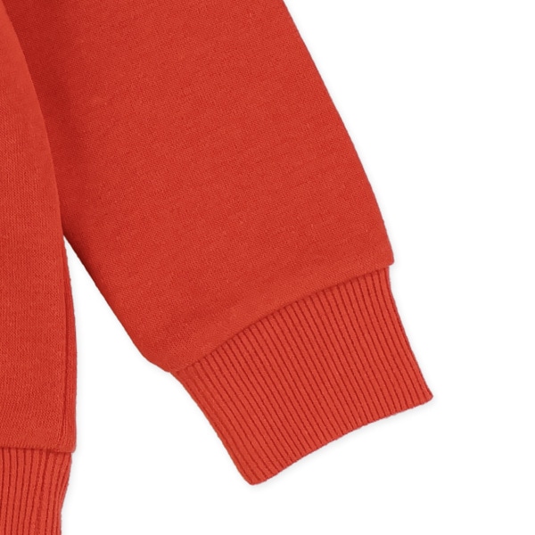 裏起毛ビッグロゴトレーナー