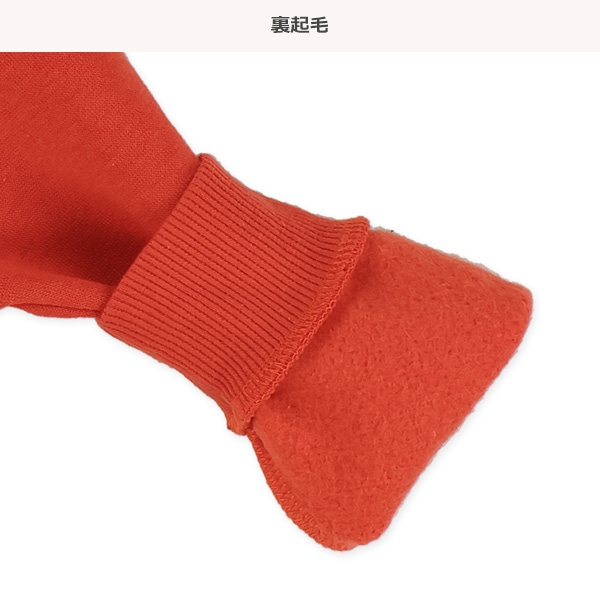 裏起毛ビッグロゴトレーナー