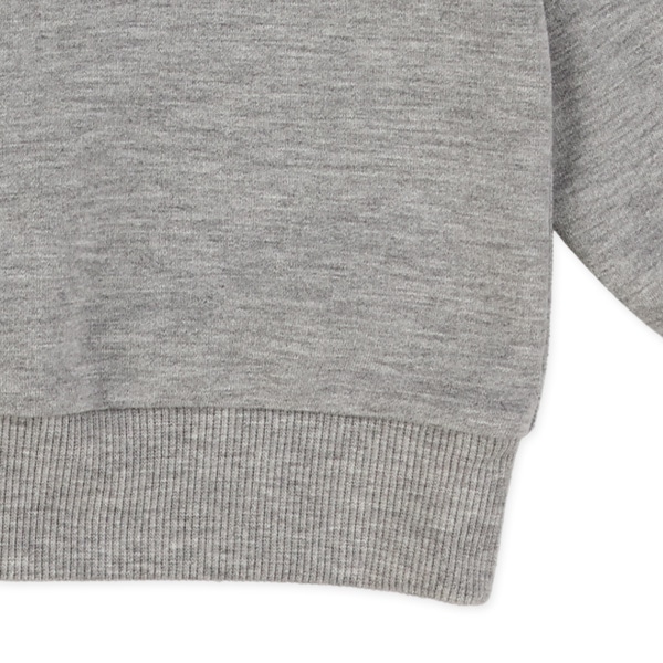 ミニ裏毛恐竜・いぬ前後プリント薄手トレーナー