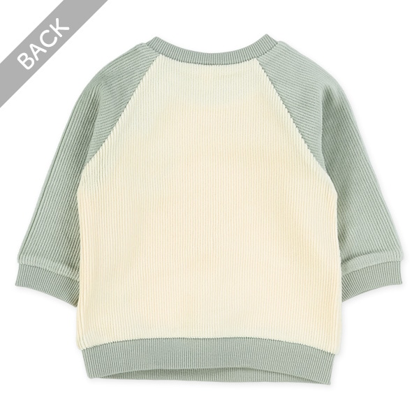 ニットコール恐竜リブトレーナー