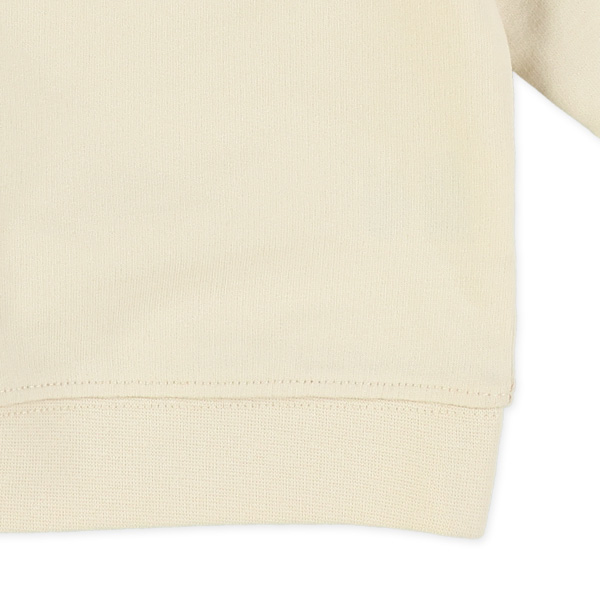 裏毛パイル恐竜アップリケトレーナー