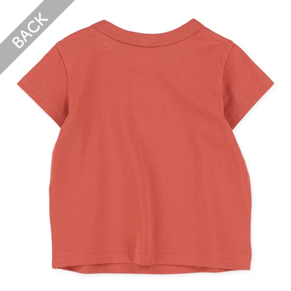 カレッジロゴ半袖Tシャツ