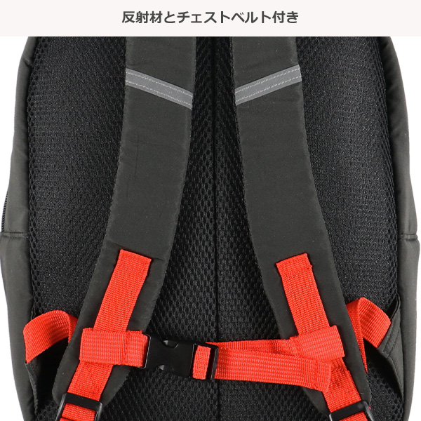 リュック（カーズ）