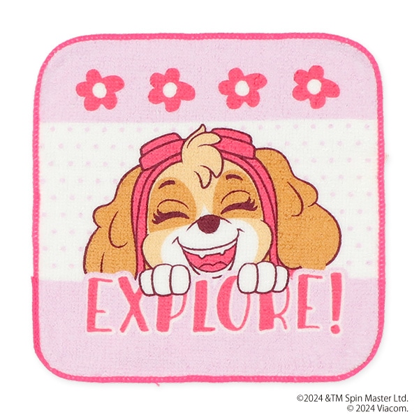 5枚組ミニタオル（パウパトロール）
