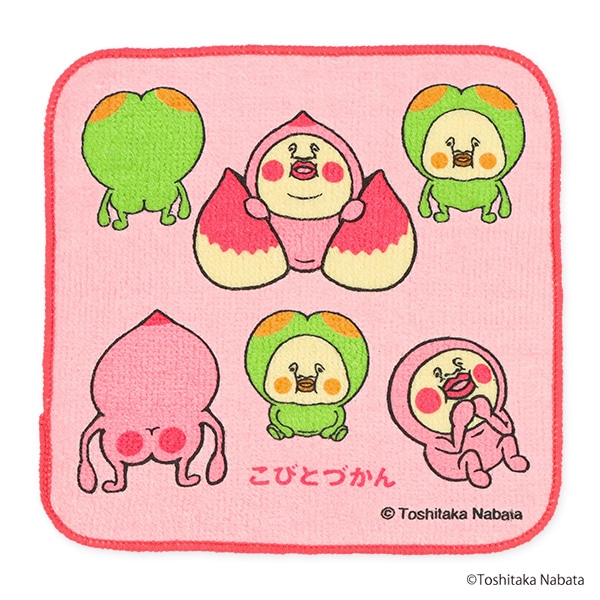5枚組ミニタオル（こびとづかん）