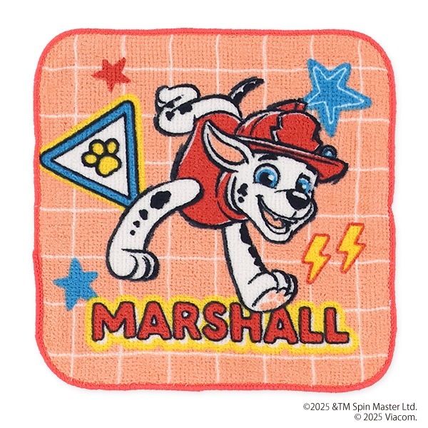 5枚組ミニタオル（パウパロール・パウレトロ）