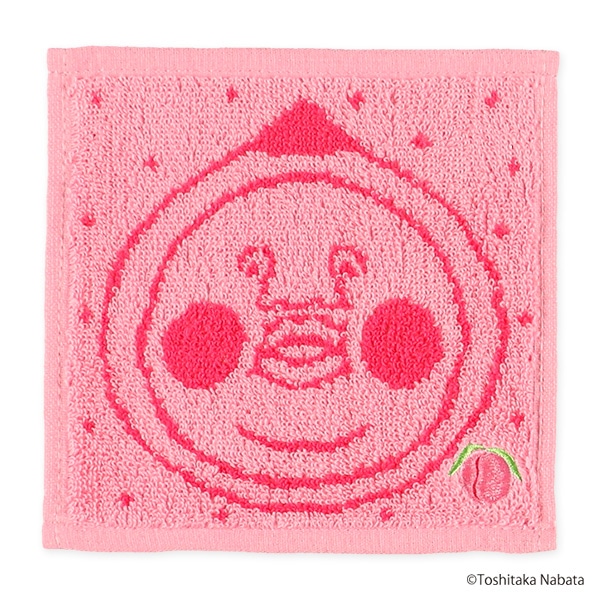 3枚組刺繍入りジャガードミニタオル（こびとづかん）