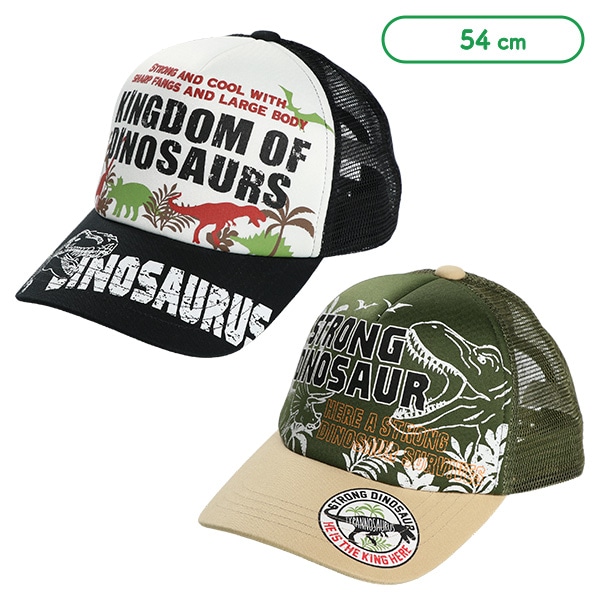 メッシュキャップ（DINO）