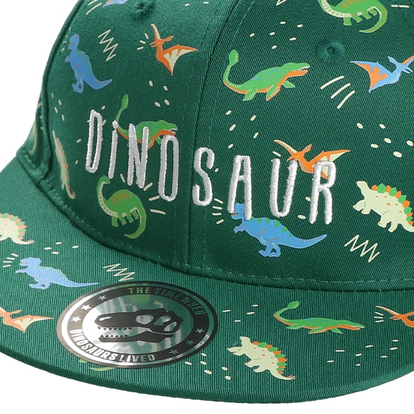 平つば帽子（恐竜総柄）