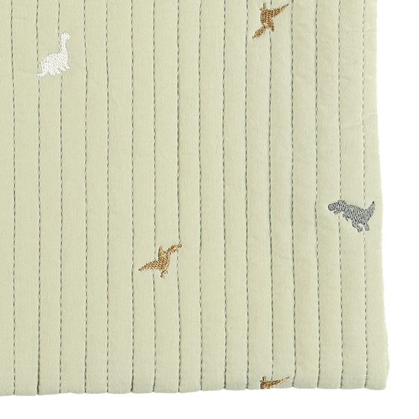 イブルレッスンバッグ（恐竜）