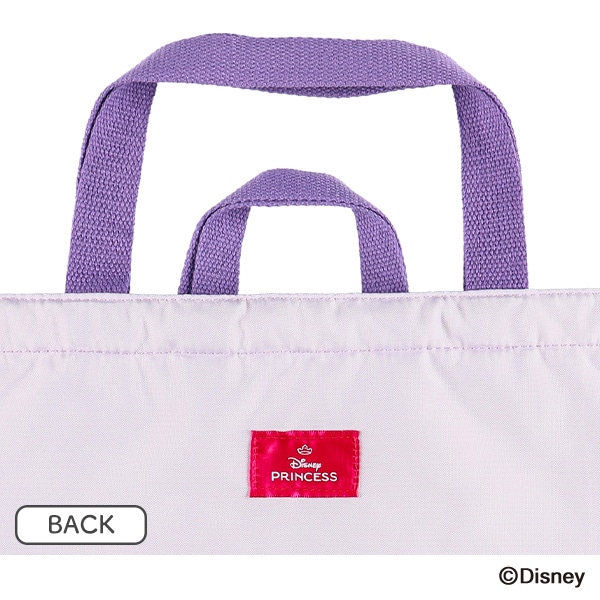 パネルレッスンバッグ（ディズニープリンセス）