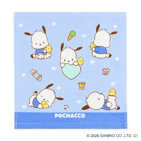 2枚組ウォッシュタオル（ポチャッコ）