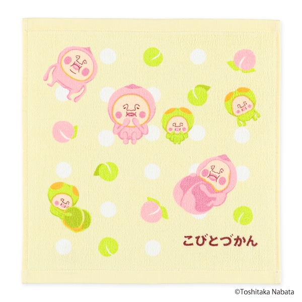 2枚組ウォッシュタオル（こびとづかん）