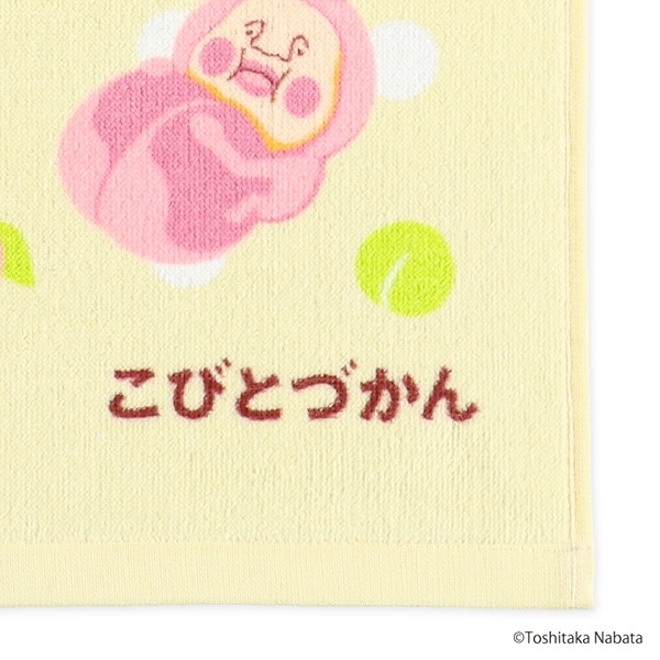 2枚組ウォッシュタオル（こびとづかん）