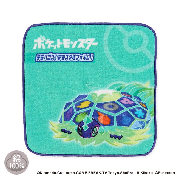 ハンドタオル（テラパゴス）