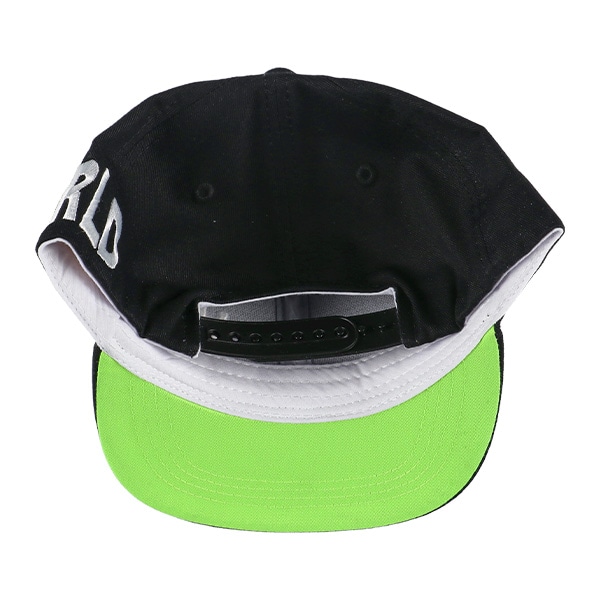 平つば帽子（NEW WORLD）