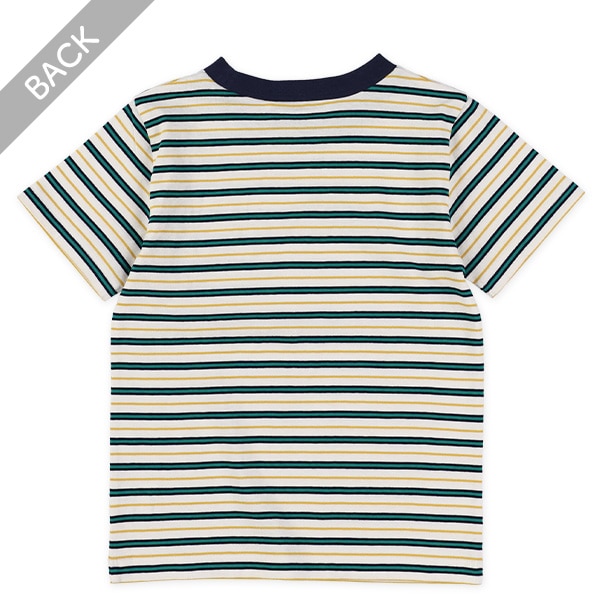 マルチボーダー半袖Tシャツ