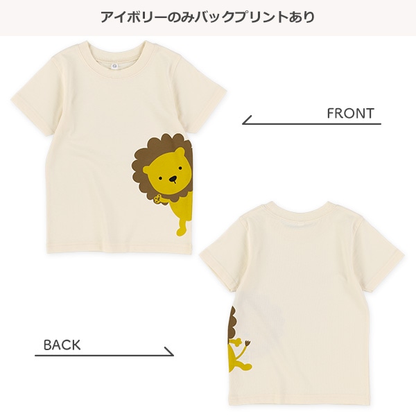アニマル・恐竜・はたらくくるまひょっこり半袖Tシャツ