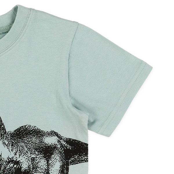 恐竜ビッグフェイス半袖Tシャツ