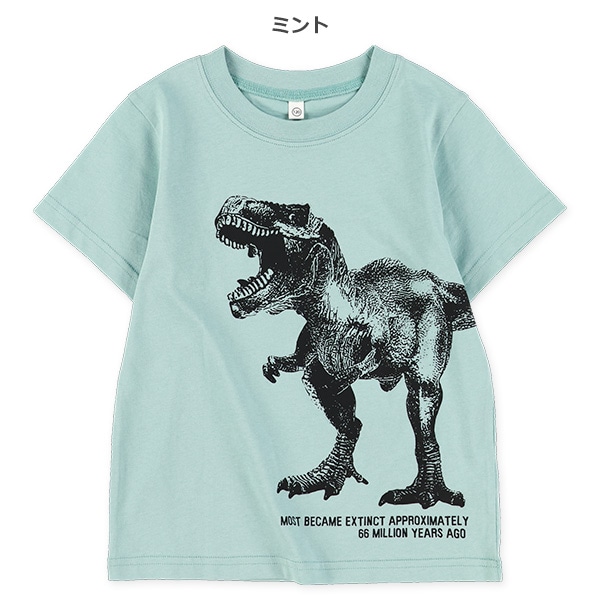 恐竜ビッグフェイス半袖Tシャツ