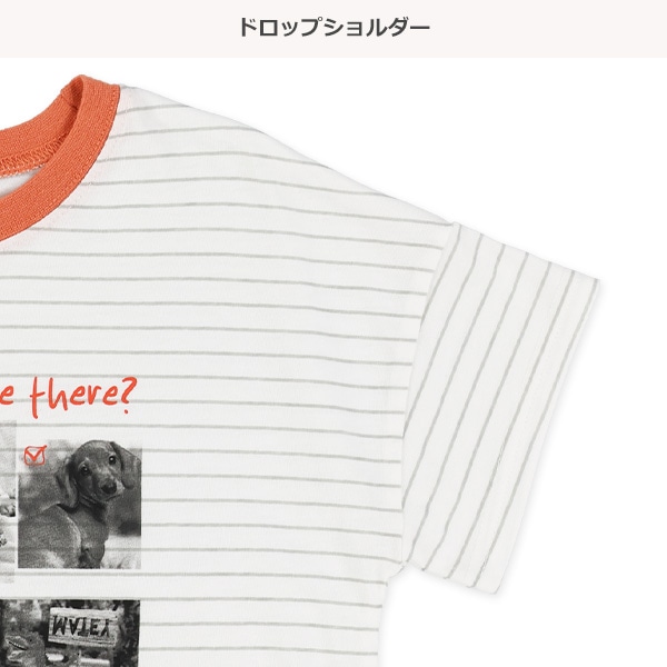 アニマルパネルドロップショルダーTシャツ