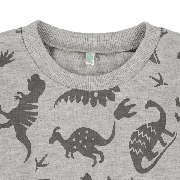 ミニ裏毛恐竜薄手トレーナー