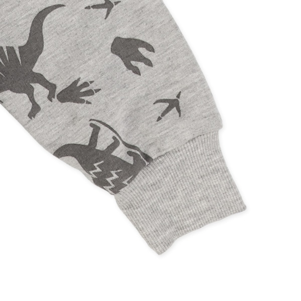 ミニ裏毛恐竜薄手トレーナー