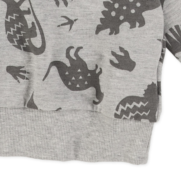 ミニ裏毛恐竜薄手トレーナー