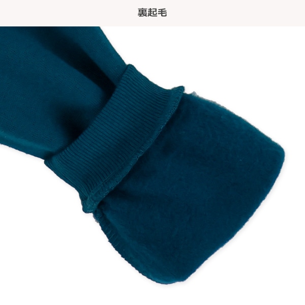 裏起毛恐竜迷路トレーナー