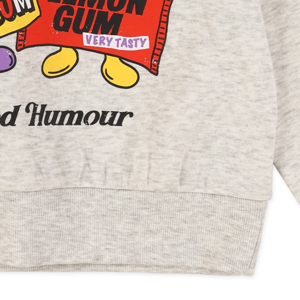 裏起毛アメカジフード柄トレーナー