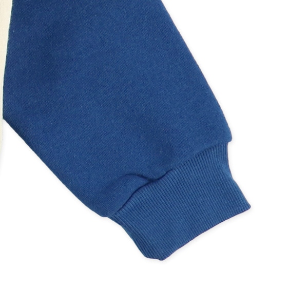 裏起毛アメカジラグラントレーナー