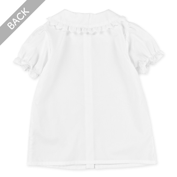 襟レース半袖ブラウス