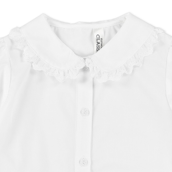 襟レース半袖ブラウス
