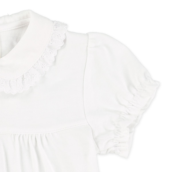 天竺襟レース半袖ブラウス